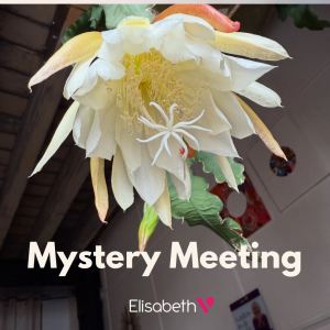Mystery meeting